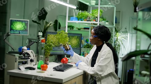 Preview: Scientist woman analyzing sapling while typing pharmaceutical expertise