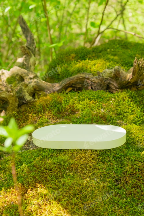 Preview: Natural podium for displaying products in a lush forest setting with vibrant greenery