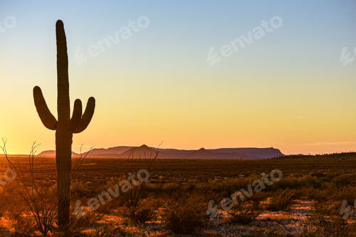 Preview: Golden hour in the desert