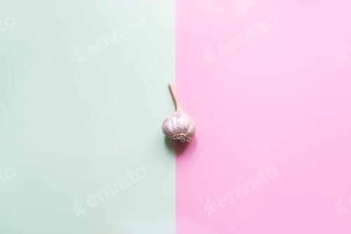 Preview: isolated minimalistic raw fresh garlic on pink and creamy color backgound f