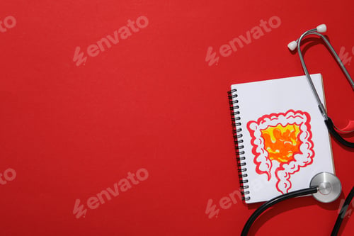 Preview: Concept of health care, stomach and intestinal problems