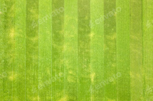 Preview: Close up aerial view of surface of green freshly cut grass on football stadium in summer.