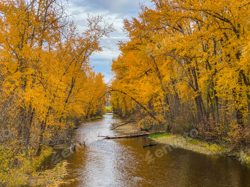 Preview: A river in Autumn