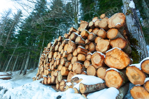 Preview: Logs of wood cut and stacked in the mountains under the snow.
