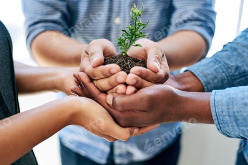 Preview: Cropped shot of a team of colleagues holding a plant