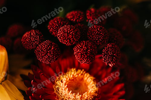 Preview: Autumn composition of dry flowers and herbs closeup. Red pink orange Floristic art decoration