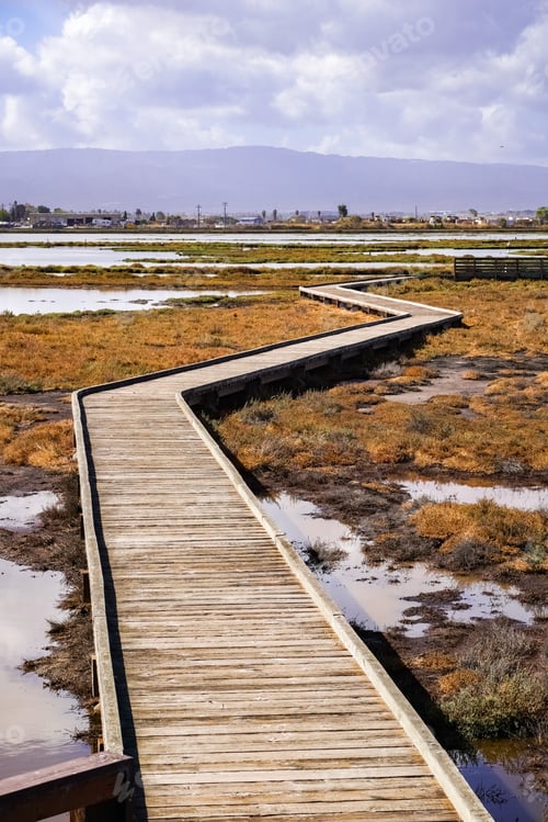 Preview: Boardwalk through Alviso Marsh, San Jose, South San Francisco Bay, California