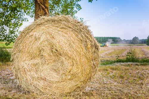 Preview: Bale of hay
