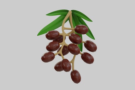 Preview: Olives on a Branch
