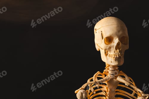 Preview: Plastic skeleton and smoke with copy space on black background