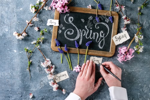 Preview: Spring blossom flowers