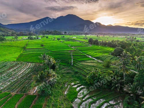 Preview: Wonderful sunrise scenery indonesia nature mountain valley forest with bright sky