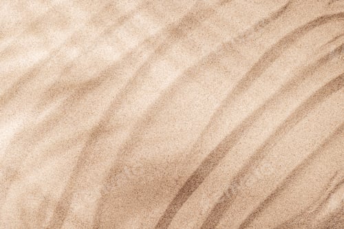 Preview: A tropical summer background featuring soft beach sand with delicate palm leaf shadows