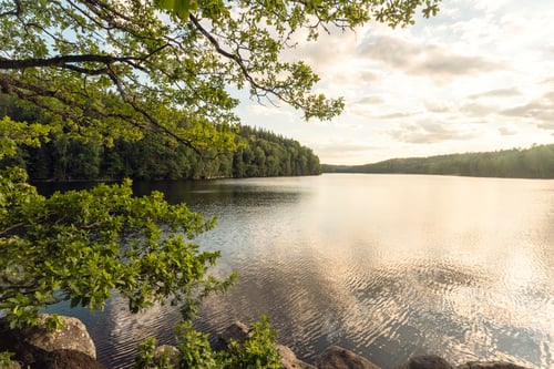 Preview: Beautiful lake in summer in sweden countryside in Kalmar