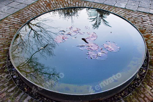 Preview: A pool of reflection. 🌸