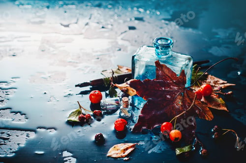 Preview: Dark autumn still life with rain,, inwell, maole leaves, berries and cinnamon on a wet background