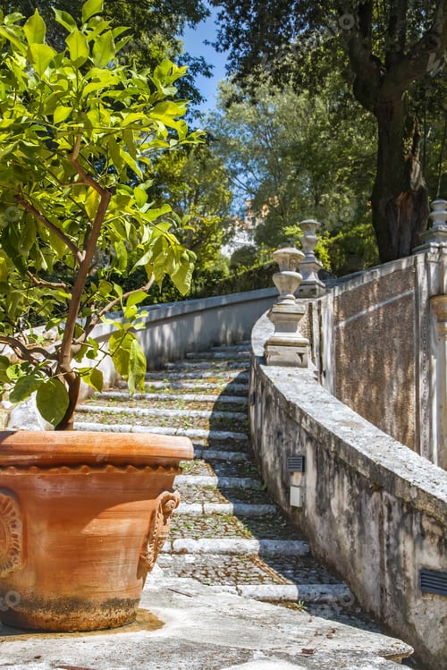 Preview: Stone Staircase with Lush Green Foliage and Flowers
