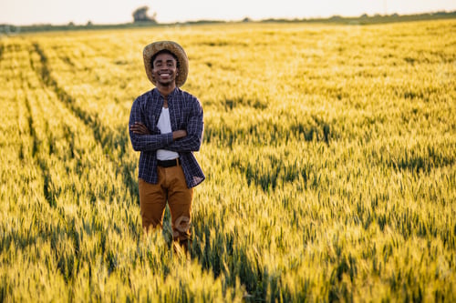 Preview: Farmer in the field