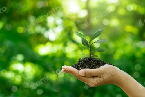 Preview: Eco earth day concept.Hand holding young plant growing on green background.