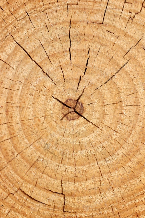 Preview: Tree