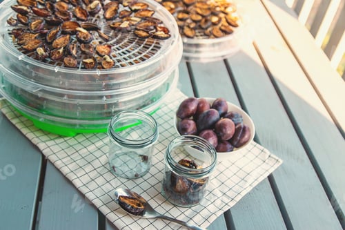 Preview: Plums dried in a dehydrator. Selective focus.