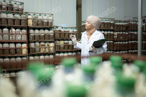 Preview: Young asian muslim female scientist doing research at a mushroom factory,
