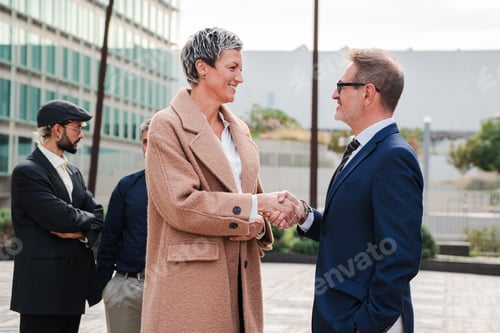 Preview: Handshake between businessman and corporate woman at workplace. Business people. Professional