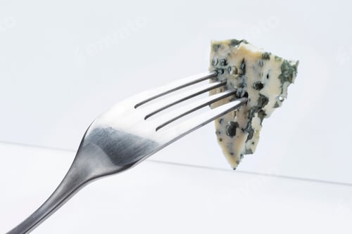 Preview: Danish blue cheese on fork isolated on white background with clipping path