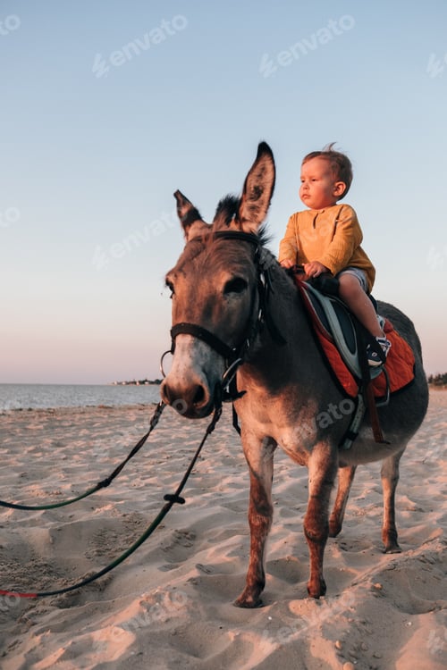 Preview: Little boy and donkey at the beach