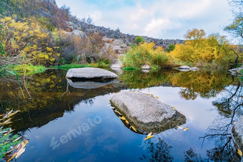 Preview: A fast clean stream runs among smooth wet stones surrounded by tall dry lumps
