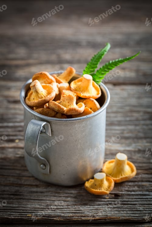 Preview: Fresh mushrooms in an old aluminum cup