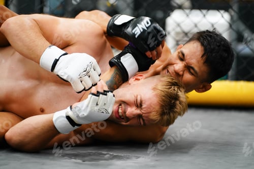 Preview: Mixed Martial Art, When the opponent is knocked down then use your hands
