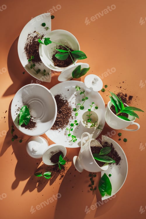 Preview: Spring porcelain collection, cups and dishes with plants, warm colors, sunlight