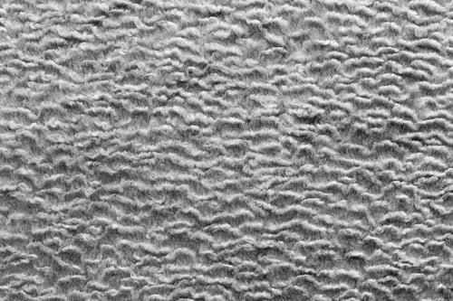 Preview: Abstract Texture Of Ashy Color Of Short-Haired Fur Fabric With Wavy Curls For Empty Backgrounds