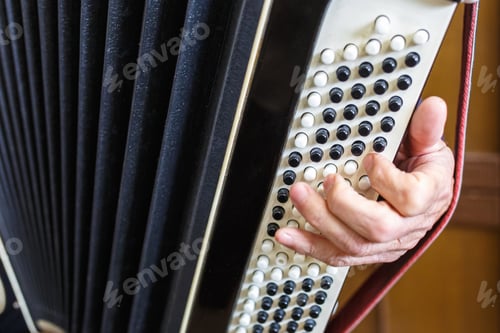 Preview: Musician hand playing accordions closeup