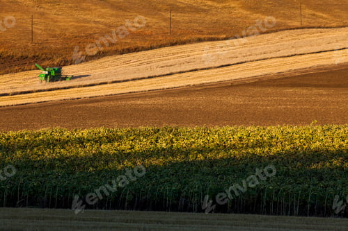 Preview: Rural scene in Inner Mongolia province,China