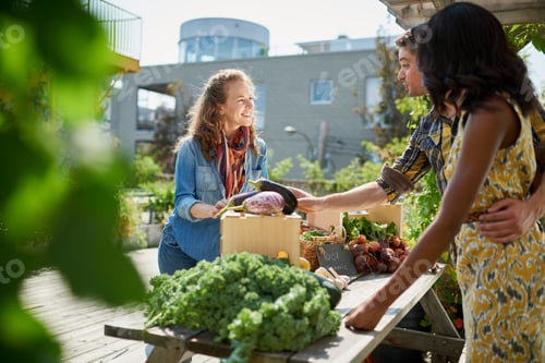 Preview: Friendly woman tending an organic vegetable stall at a farmer's market and selling fresh vegetables