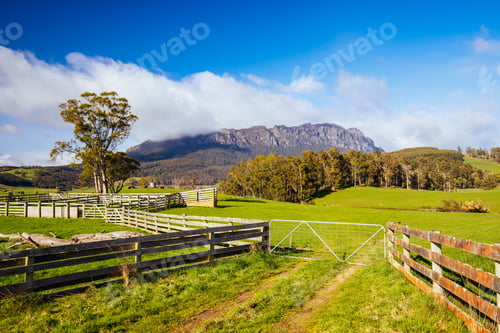 Preview: Mt Roland near Sheffield in Tasmania Australia