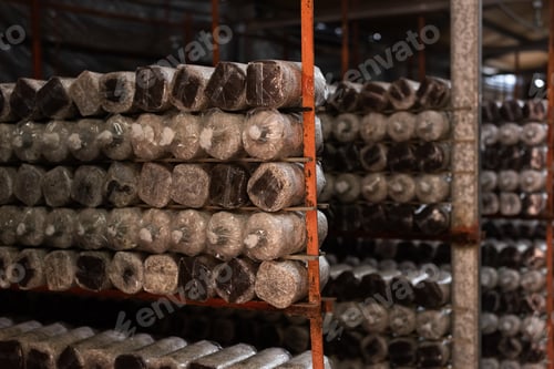 Preview: Mushrooms Growing In Plastic Bag At A Farm In Nantou, Taiwan