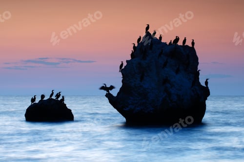 Preview: Colorful summer seascape. rocky islands with birds at sunset