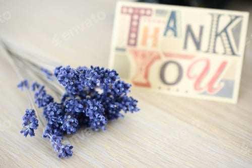 Preview: Thank you
