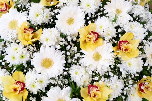 Preview: Flowers flat lay composition