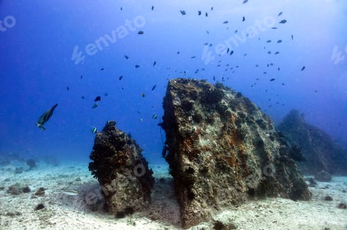 Preview: Fascinating underwater world of rocks and fishes