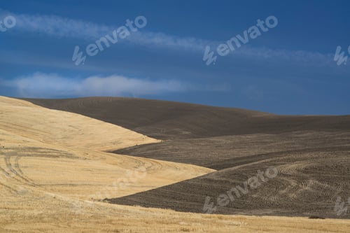 Preview: The contours of farmed land in Palouse county, Washington State, USA