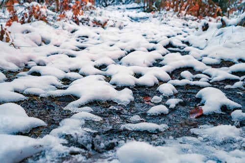Preview: A bit of snow-white fluffy snow on transparent small puddles in a sunny winter forest