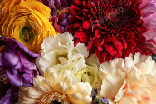 Preview: Beautiful flowers as background, closeup view. Floral decor