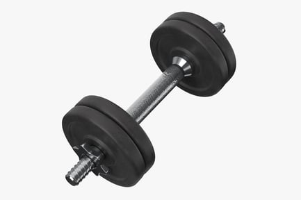 Preview: Dumbbell with Knurled Grip and Black Circular Weights