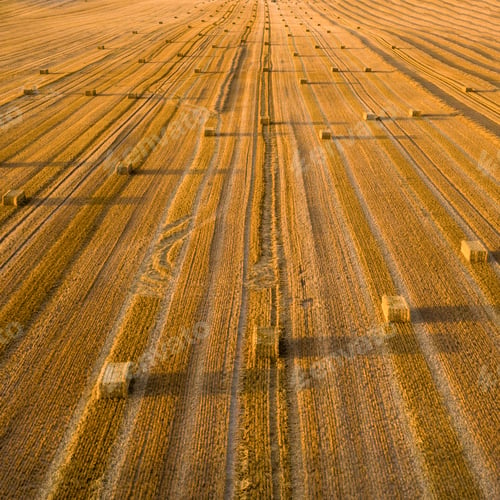 Preview: Aerial view of cereal fields after the harvest. There is haystack and tractor tread