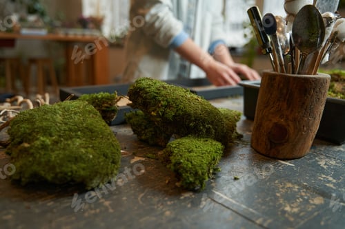 Preview: Pretty woman making picture with green plants