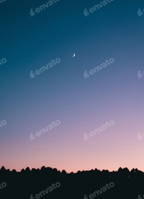 Preview: Vertical shot of the night sky with the crescent moon visible above silhouettes of trees